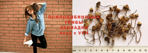 каннабис Лабытнанги