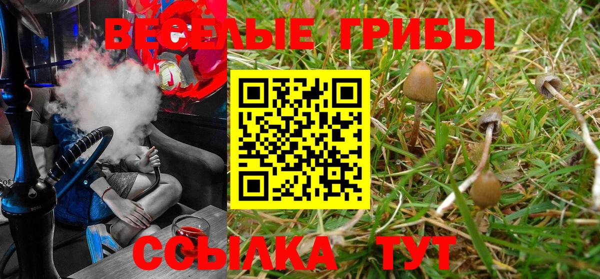 Галлюциногенные грибы Psilocybe  Вход с VPN  Псилоцибиновые грибы прущие грибы  Стрежевой 